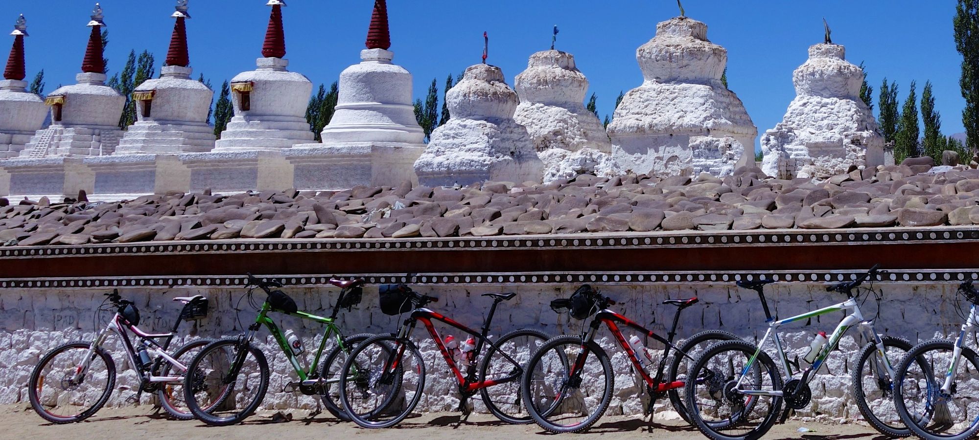 Cycling Holidays India Himalaya